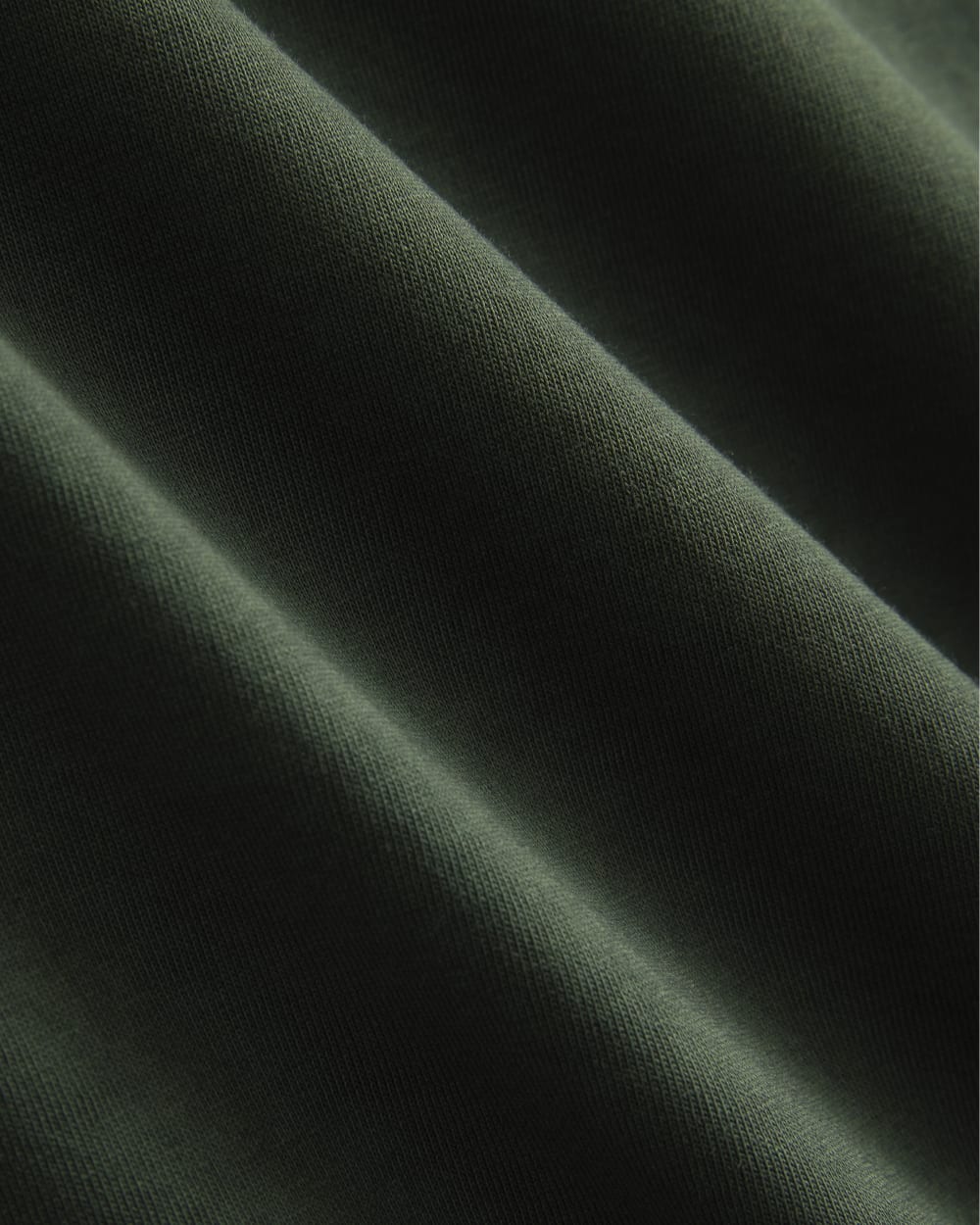 Everlane x Peace and Quiet Crest Graphic Tee | Pine