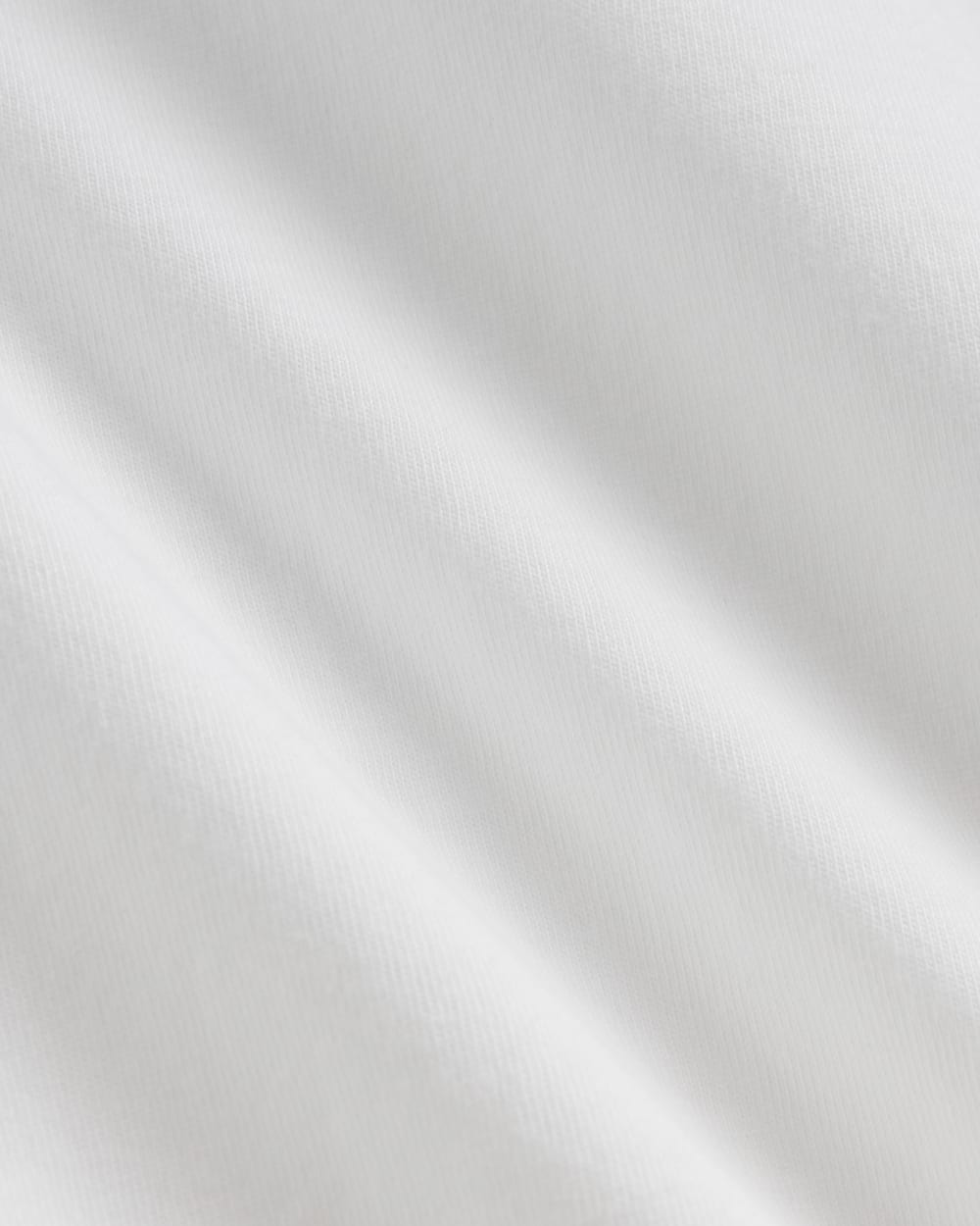 The Slim Long-Sleeve Crew in Essential Cotton | White