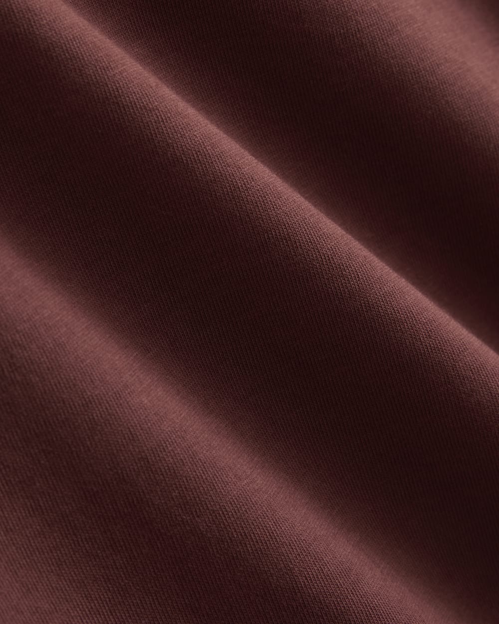 Everlane x Peace and Quiet Crest Graphic Tee | Wine