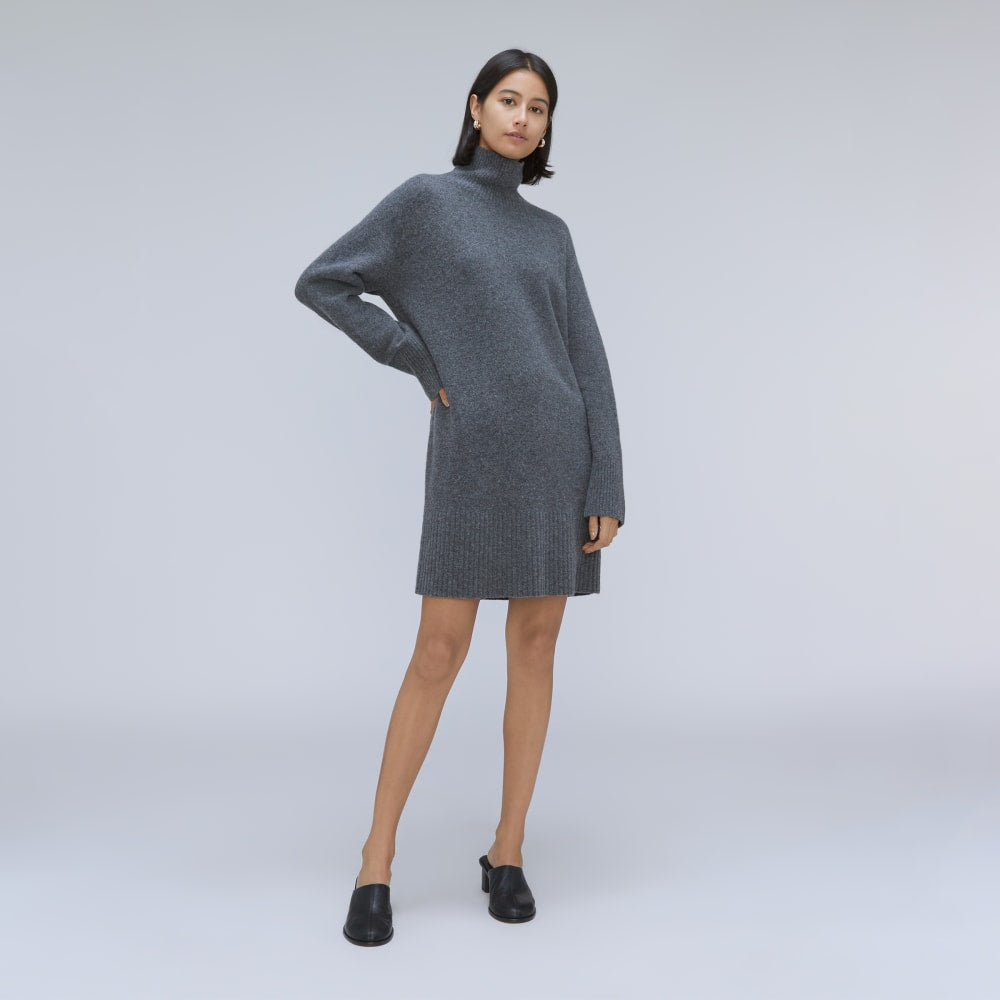 The Cozy Stretch Turtleneck Dress | Marin
