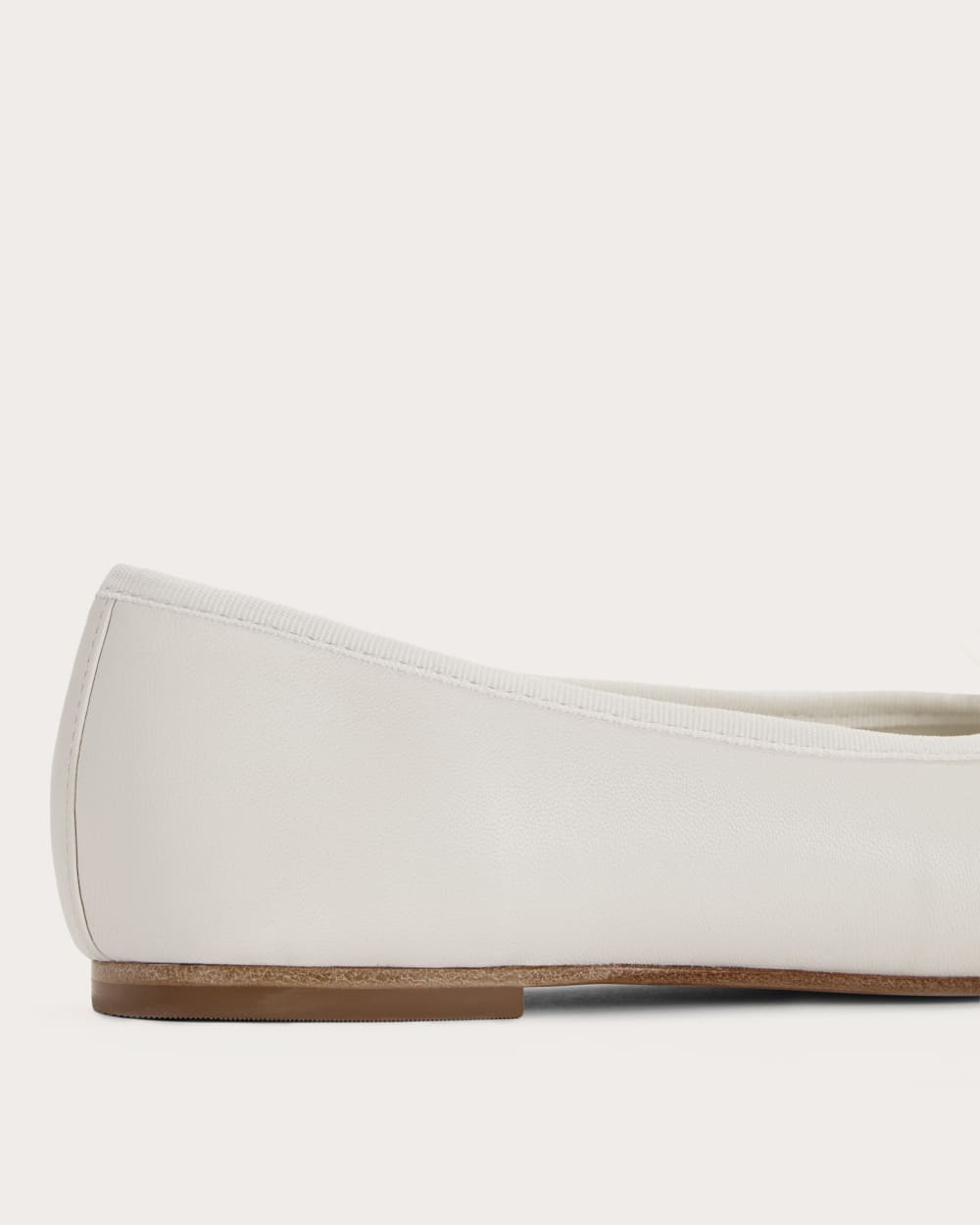 The Day Ballet Flat | Canvas