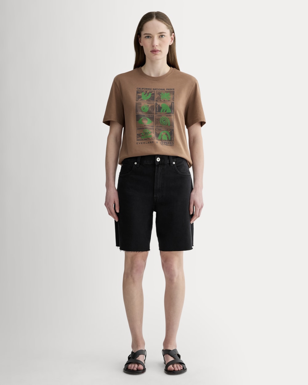 The Everlane x Parks Project Essential Organic Crew | Brown / Green / Forged Iron