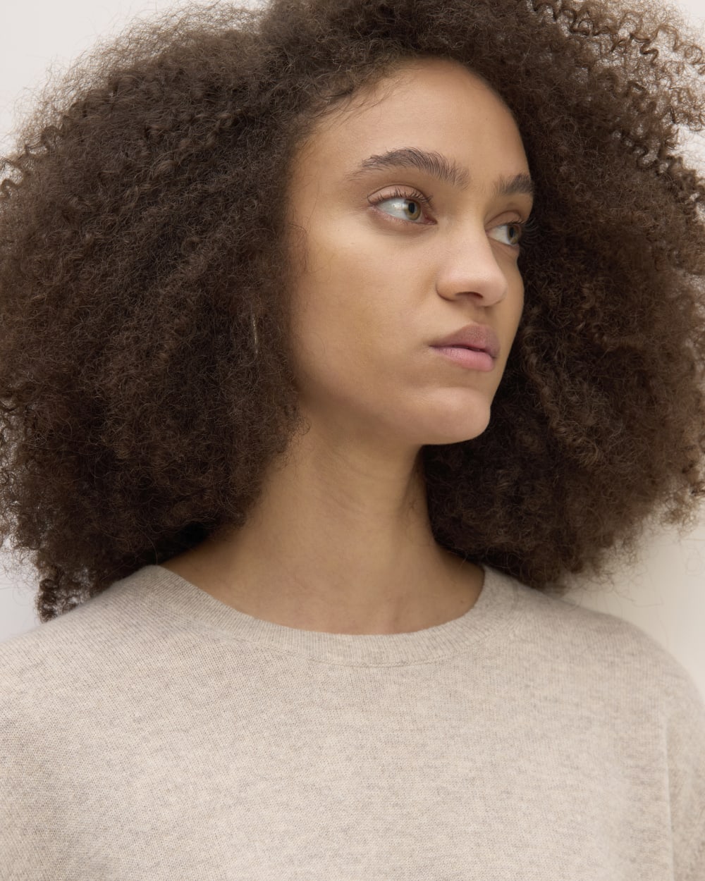 The Classic Crew in Cashmere | Canvas