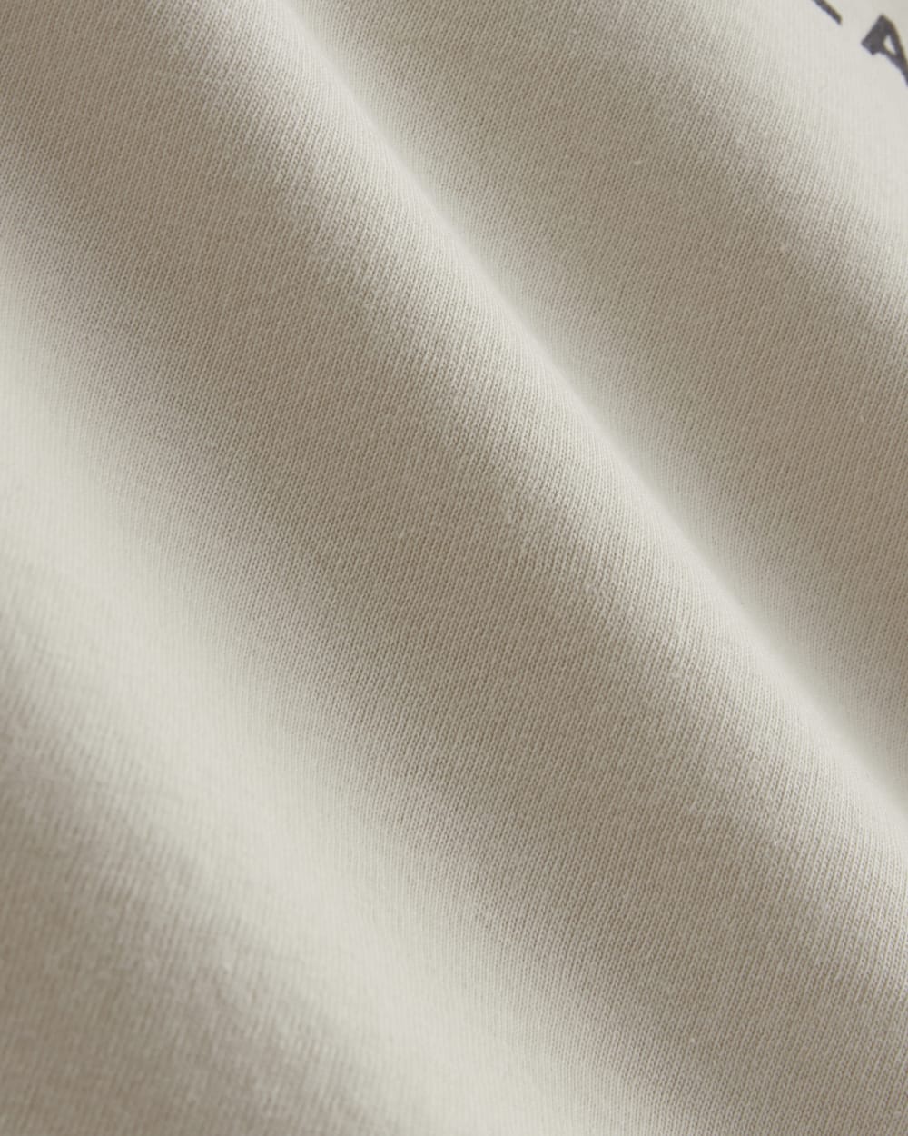 The Everlane x Parks Project Essential Organic Crew | Forged Iron / Birch / Granada Sky Blue / Green