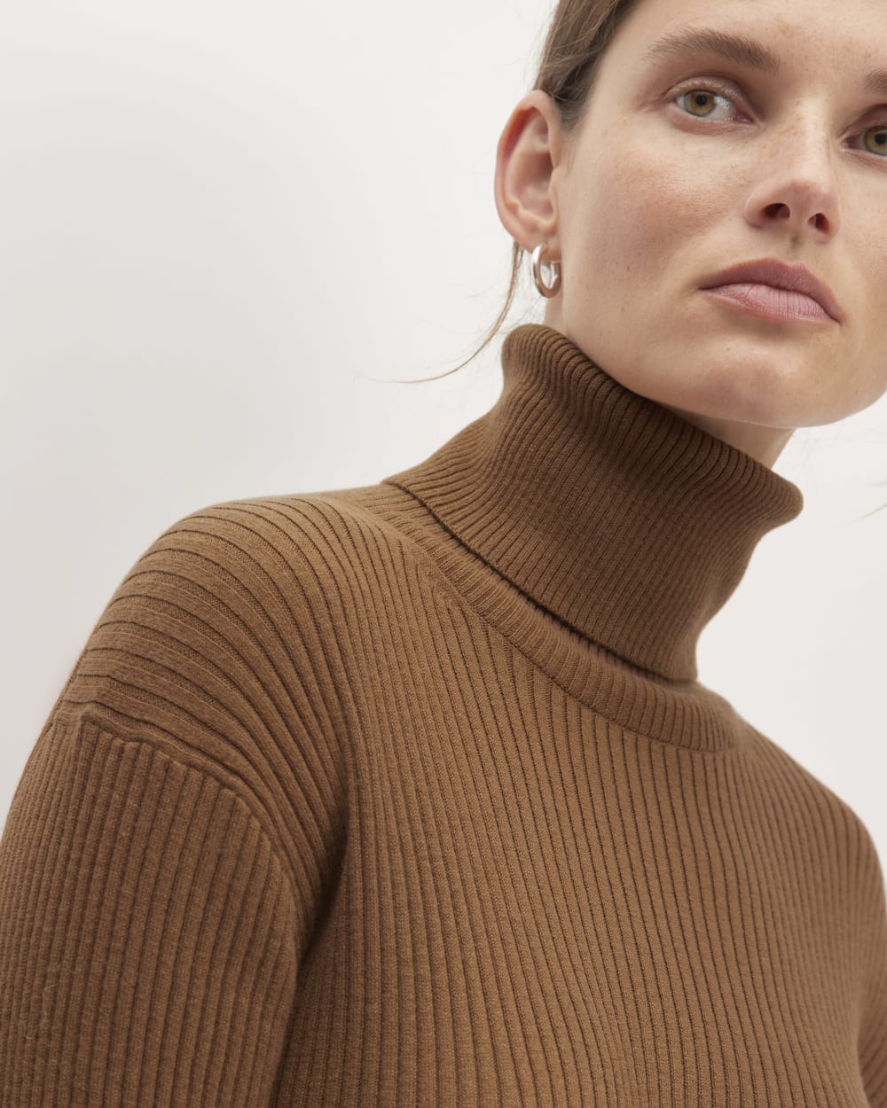 The Cotton-Merino Turtleneck Dress | Rich Camel