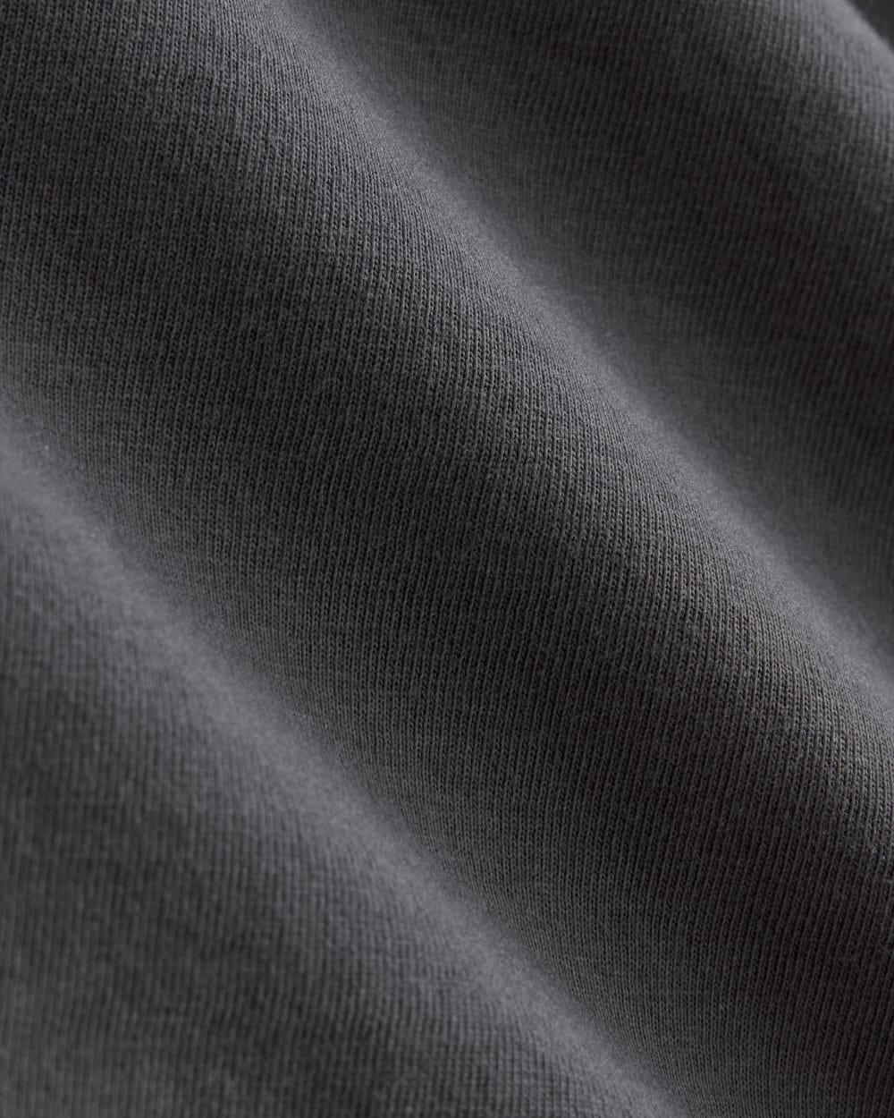 The Everlane x Parks Project Essential Organic Crew | Forged Iron / Natural / Granada Sky Blue / Green