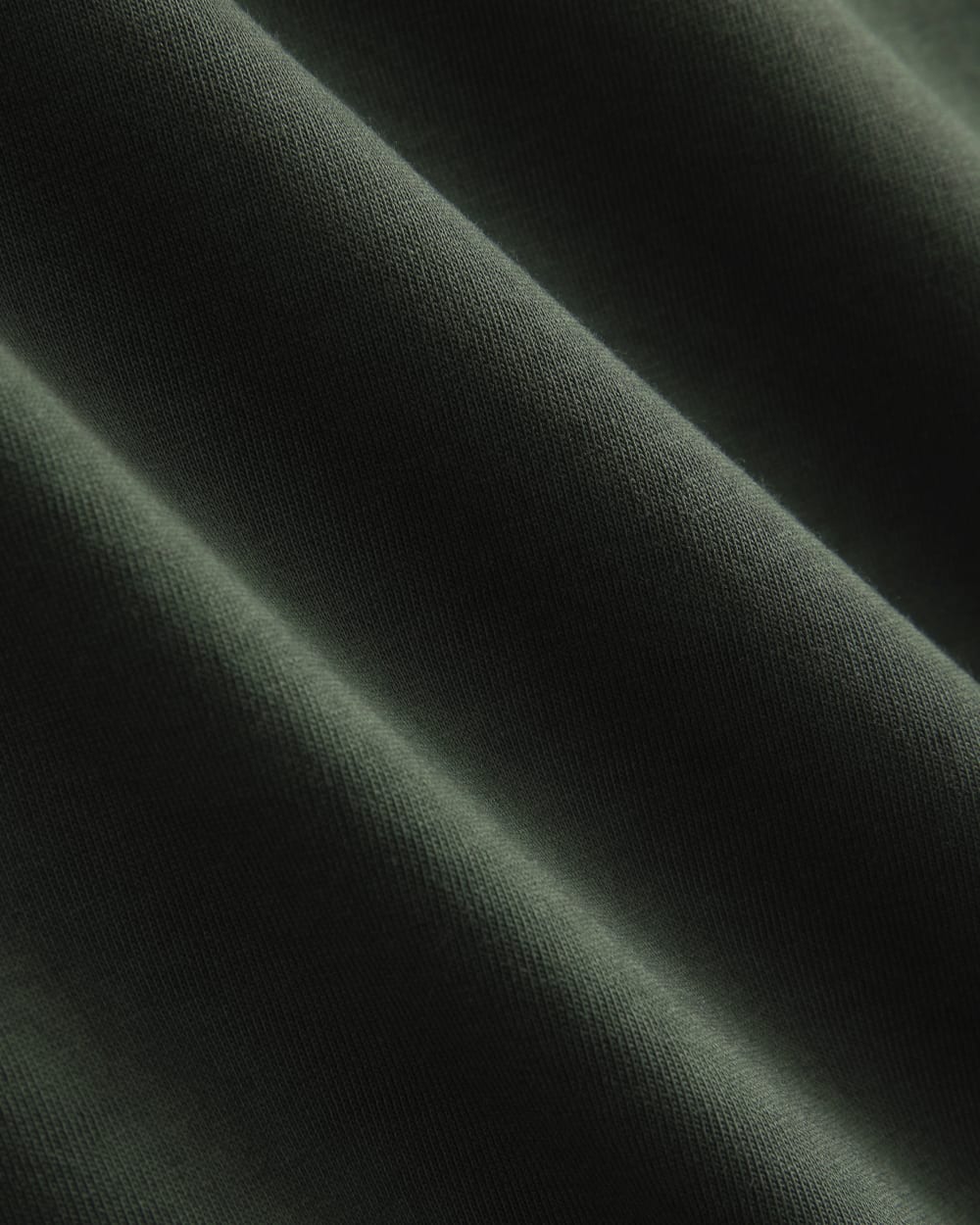 Everlane x Peace & Quiet Graphic Logo Tee | Pine