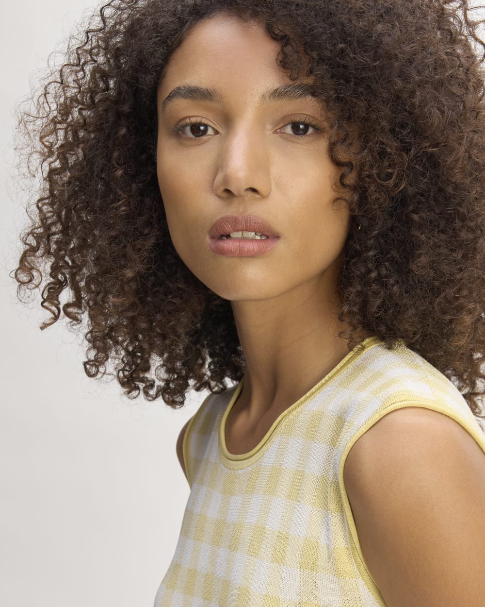 The Knit Pleated Dress | Bone / Parsnip Gingham