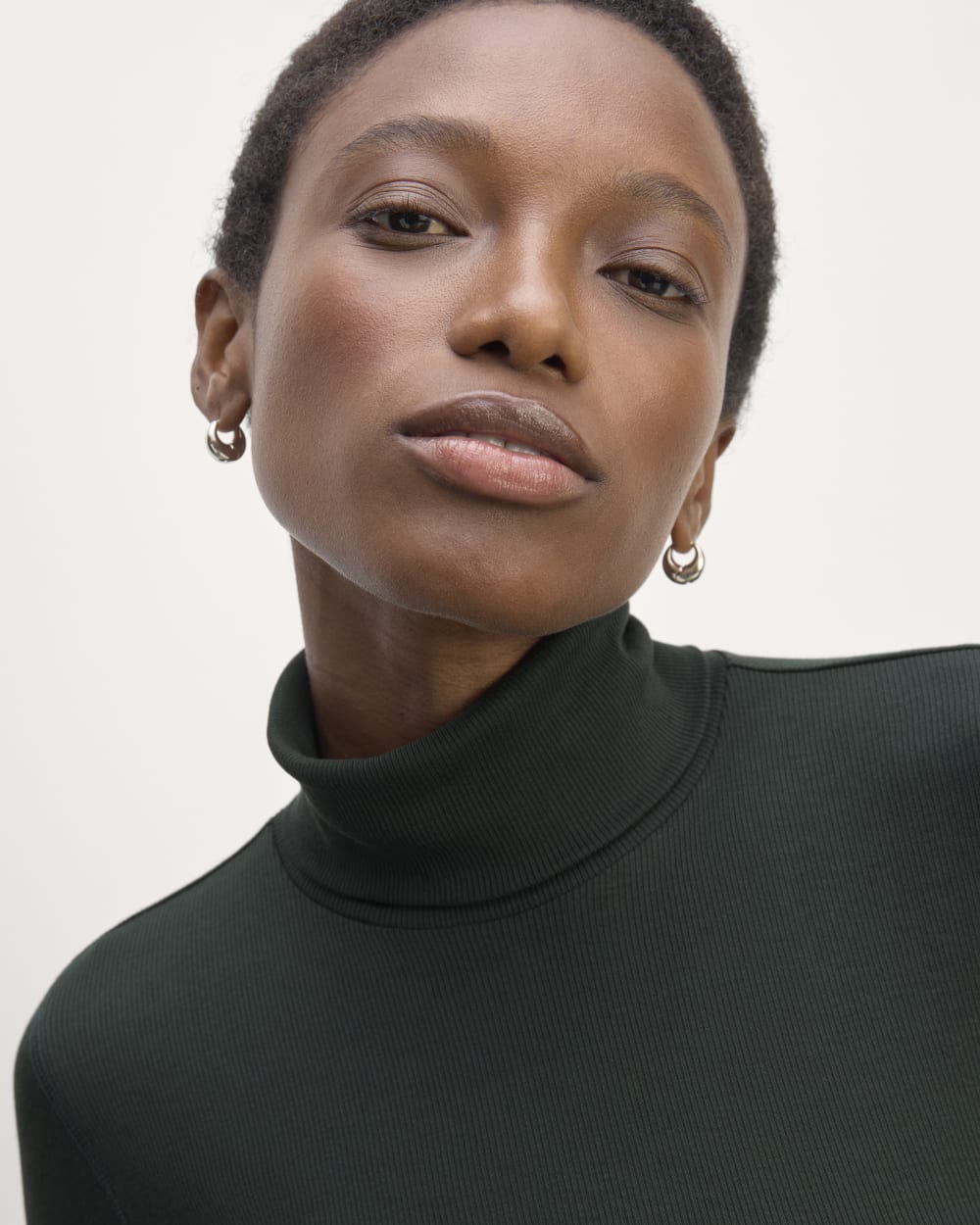 The Luxe Rib Turtleneck | Scarab