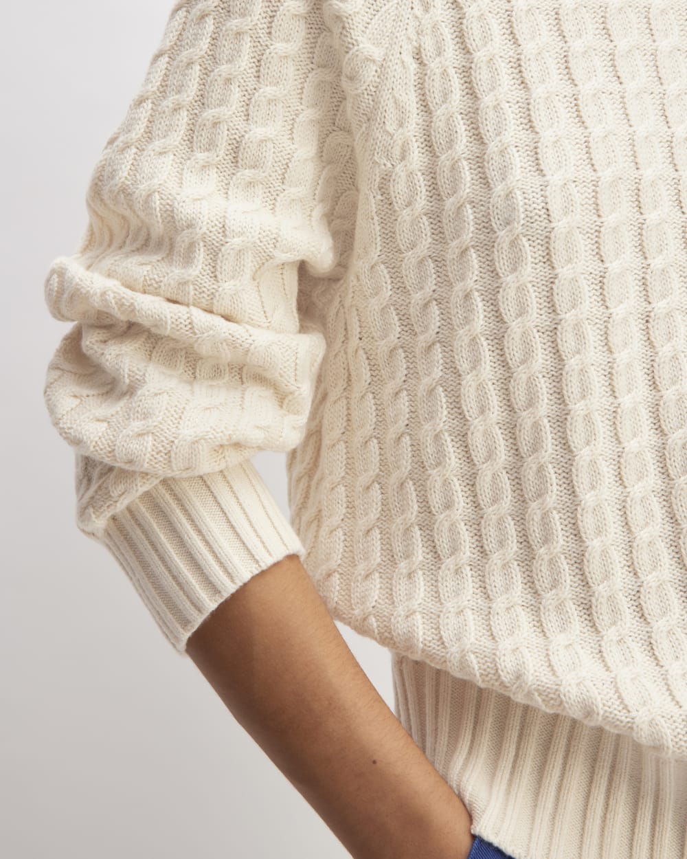 The Cotton Merino Cable Turtleneck | Canvas