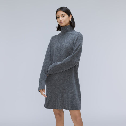 The Cozy Stretch Turtleneck Dress | Marin