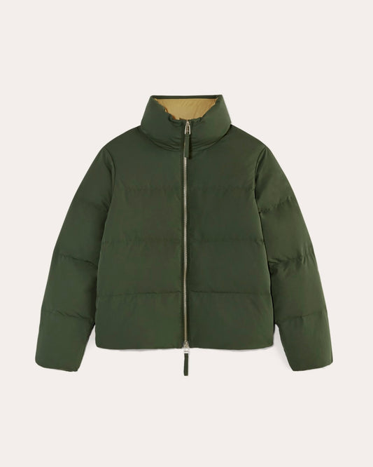The Puffer Bomber | Dark Forest