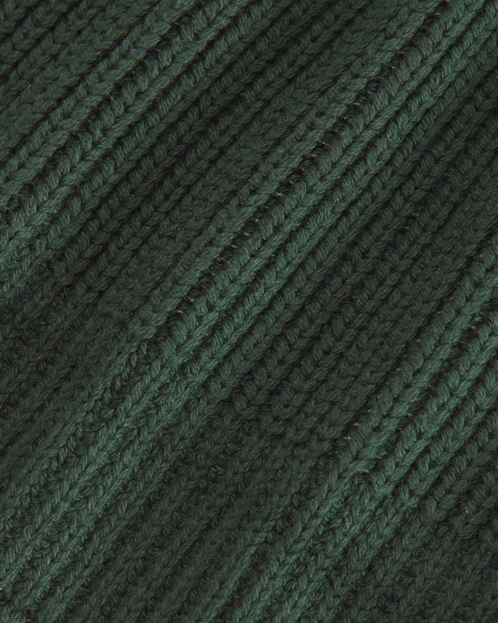 The Organic Cotton Chunky Beanie | Scarab