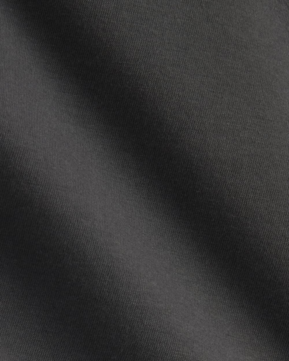 The Everlane x Parks Project Box-Cut Tee | Forged Iron / Natural