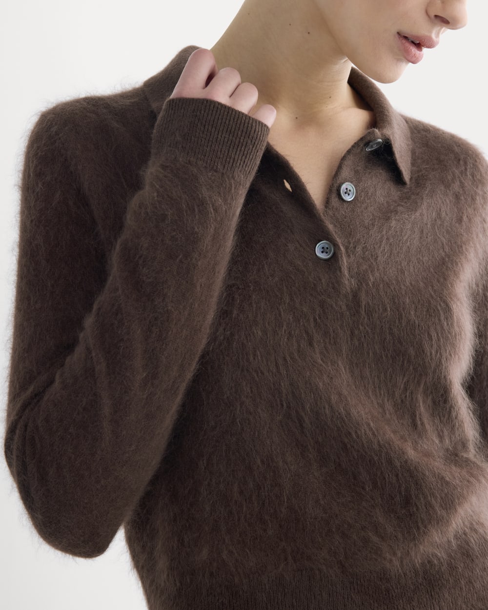 Lush Cashmere Cropped Polo Sweater | Raven