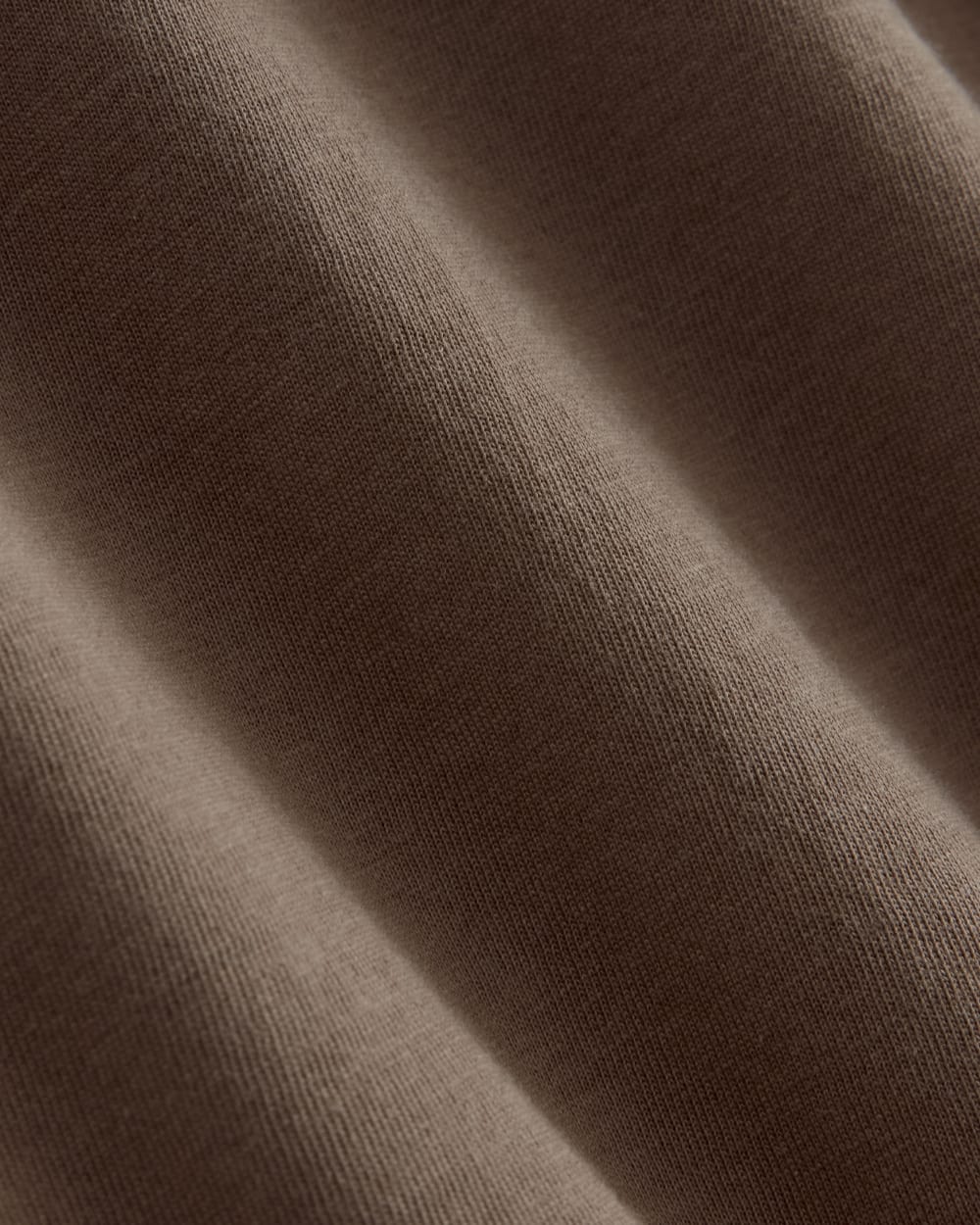 The Everlane x Parks Project Essential Organic Crew | Brown / Green / Forged Iron