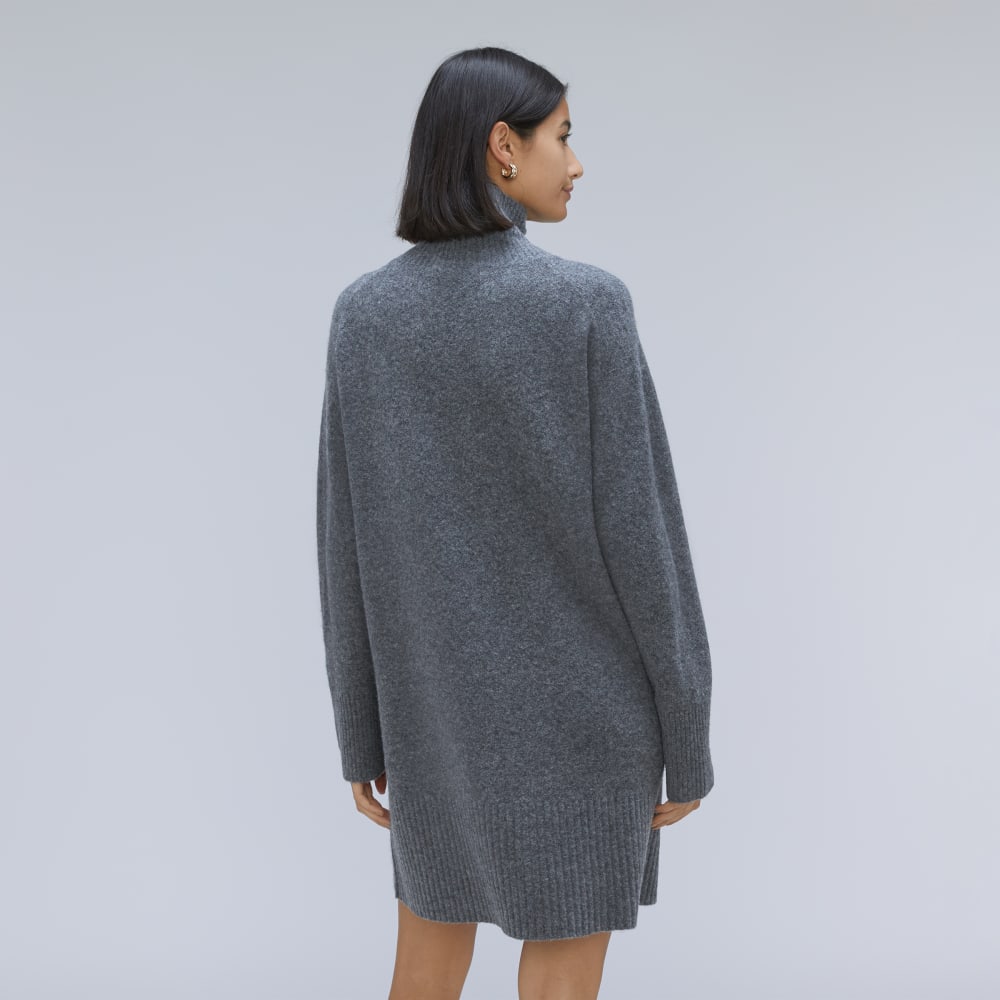 The Cozy Stretch Turtleneck Dress | Marin