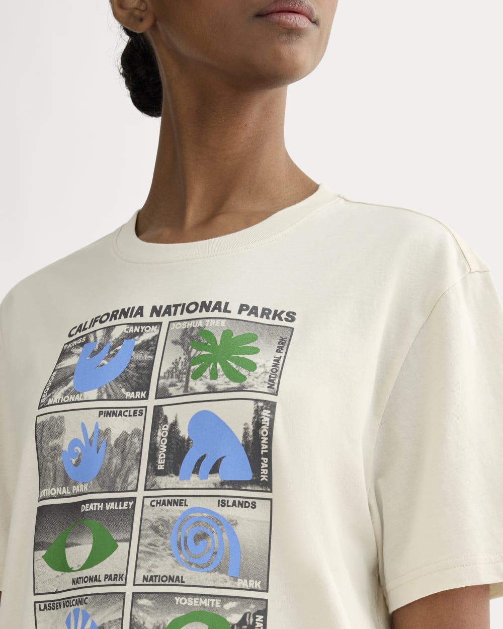 The Everlane x Parks Project Essential Organic Crew | Forged Iron / Birch / Granada Sky Blue / Green