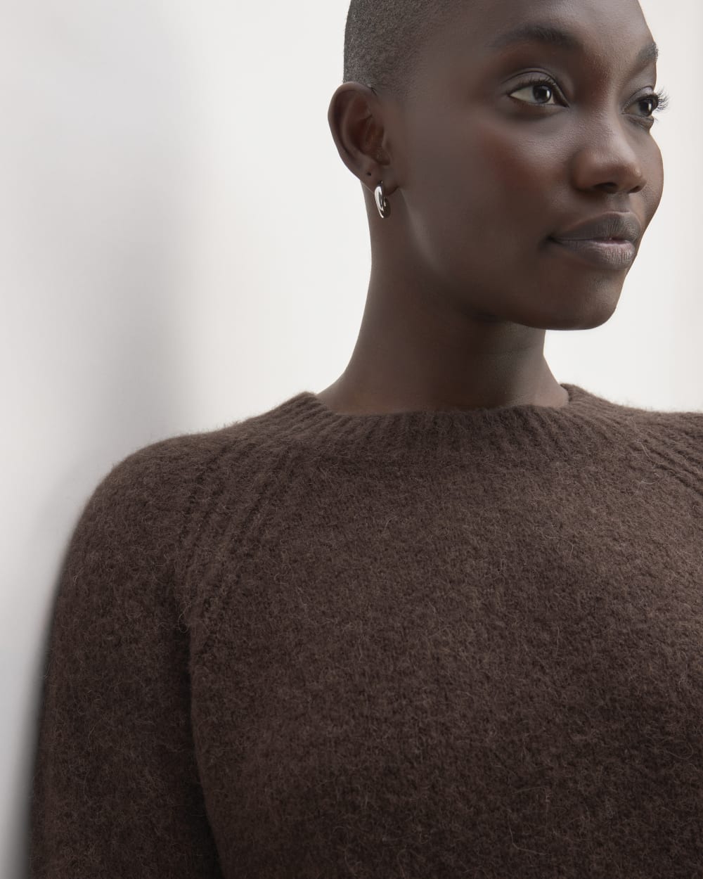 The SuperFuzz Alpaca Crew | Earth Brown