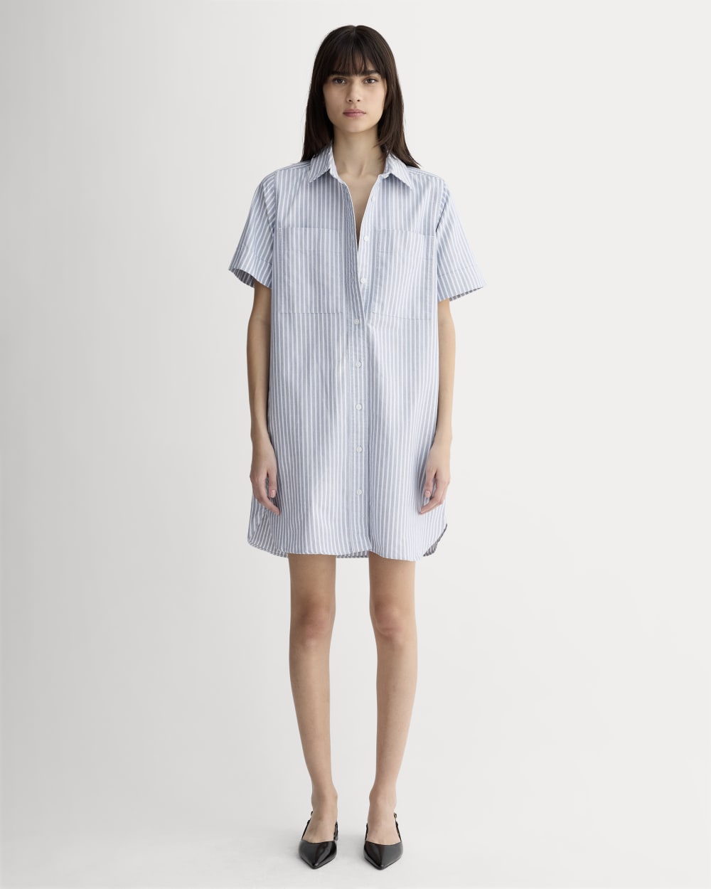 The Oxford Short-Sleeve Shirt Dress | Bone / Mazarine Blue